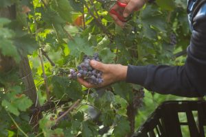 Buglioni_Teambuilding_GreenThesis_Ottobre_22-141