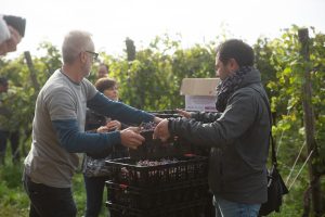 Buglioni_Teambuilding_GreenThesis_Ottobre_22-184