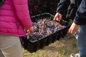 Buglioni_Teambuilding_GreenThesis_Ottobre_22-186