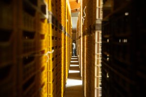 Buglioni_Teambuilding_GreenThesis_Ottobre_22-343