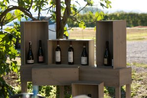 Buglioni_Teambuilding_GreenThesis_Ottobre_22-645