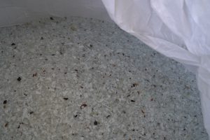 SanGiulianoMilanese_20