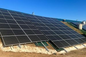 WhatsApp Image 2022-07-25 at 12.38.56