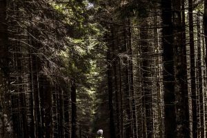 KCR 2023_DAY1_FOTO DEL GIORNO_PH Stefano Jeantet-4 (1)